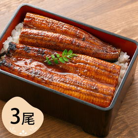 四万十うなぎ 蒲焼3尾セット【送料込み】【二重包装不可】