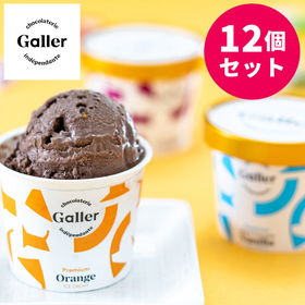 ガレープレミアムアイスクリーム12個セット【送料込み】