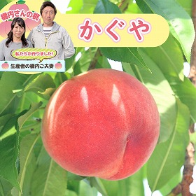 橘内さんの桃 かぐや 2kg【送料込み】【お届け不可地域：沖縄・離島】【お届け日の指定不可】