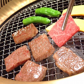 岐阜 ＪＡひだ 飛騨牛肩ロース焼肉用 500g 牛肉【送料込み】