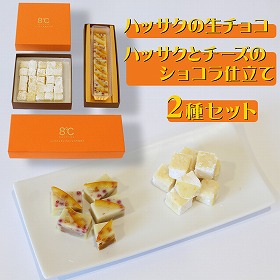 ハッサクショコラセット スイーツ お菓子 チョコレート【送料込み】【お届け不可地域:北海道・沖縄・離島】