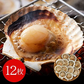 北海道産 帆立片貝 12枚(75g×12) 貝類 ホタテ【送料込み】【二重包装不可】【お届け不可地域：離島】