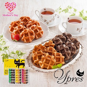 【母の日2025】イーペルの猫祭り ベルギーミニワッフル YJ-YW スイーツ 洋菓子 ワッフル【送料込み】【二重包装不可】