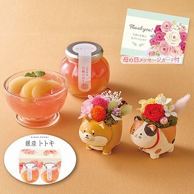 【母の日2025】アニマルプリザと「銀座トトキ」監修 山形県産白桃のゼリー フラワーギフト 花【送料込み】【二重包装不可】【お届け不可地域：離島】【お届け日時指定不可】_81037