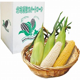 【お中元2025】北海道産イエローコーンとホワイトコーン食べ比べ B39-1 野菜 とうもろこし【送料込み】【二重包装不可】【お届け不可地域:離島】【お届け日時指定不可】_586