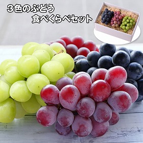 3色のぶどう食べくらべセット フルーツ 果物【送料込み】【お届け不可地域:離島】