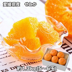 愛媛県産 せとか 1.3kg フルーツ 果物【送料込み】【お届け不可地域：離島】