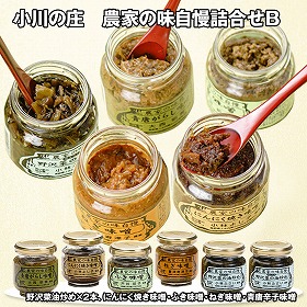 小川の庄 農家の味自慢詰合せB 和風惣菜 セット【送料込み】【二重包装不可】【お届け不可地域：離島】