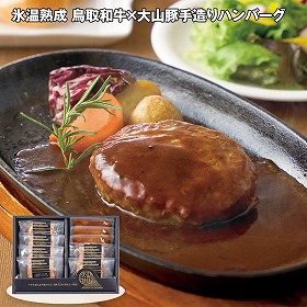 【お歳暮2025】氷温熟成 鳥取和牛×大山豚手造りハンバーグ 洋風惣菜【送料込み】【お届け不可地域：離島】_551