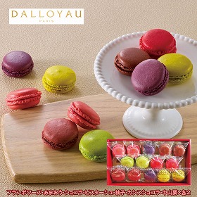 【お歳暮2025】ダロワイヨ 季節のマカロン入り詰合せ 各2個 スイーツ 洋菓子 焼菓子【送料込み】【お届け不可地域：離島】_814