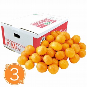 【お歳暮2025】大村農園 熊本県産 天水みかん約3kg 9831-026 フルーツ 果物【送料込み】【二重包装不可】【お届け不可地域：北海道・沖縄・離島】【お届け日時指定不可】
