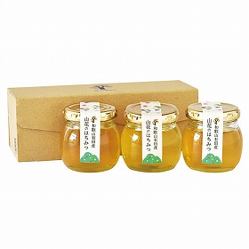 【お歳暮2025】伊藤農園 山花のはちみつ詰合せ 100g×3瓶 n611-1-3 9887-124 蜂蜜 ハニー【送料込み】【二重包装不可】【お届け不可地域:北海道・沖縄・離島】