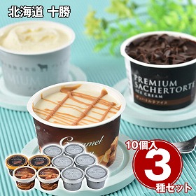 北海道 十勝プレミアムアイス3種セット スイーツ アイスクリーム【送料込み】【二重包装不可】【お届け不可地域：離島】