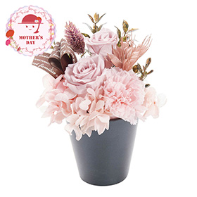 【母の日2026】プリザーブドフラワー フルールスーリル ピンク 24-MD-01-P 1851-957 花【送料込み】【二重包装不可】【お届け不可地域：北海道・沖縄・離島】【お届け日時指定不可】