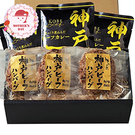 【母の日2026】神戸ビーフハンバーグ＆カレー詰合せ 3786-50 1852-682 洋風惣菜【送料込み】【二重包装不可】【お届け不可地域：北海道・沖縄・離島】【お届け日時指定不可】