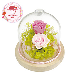 【母の日2026】ジュエルガラスドーム ピンク B38420 1853-608 花【送料込み】【二重包装不可】【お届け不可地域：北海道・沖縄・離島】【お届け日時指定不可】
