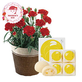【母の日2026】ミニカーネーションレッド4号&月でひろった卵セット 1854-016 フラワー 花 スイーツ【送料込み】【二重包装不可】【お届け不可地域：北海道・沖縄・離島】【お届け日時指定不可】