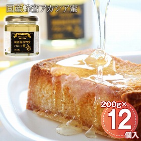国産蜂蜜アカシア蜜 12個入/ケース はちみつ 大容量【送料込み】