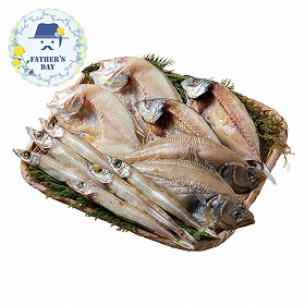 【父の日2026】山陰海鮮一夜干しセット 6365-40 1856-250 魚介 干物【送料込み】【二重包装不可】【お届け不可地域：北海道・沖縄・離島】【お届け日時指定不可】