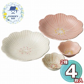 【父の日2026】ハレのひセット 00483 1857-733 食器 鉢【送料込み】【二重包装不可】【お届け不可地域：北海道・沖縄・離島】【お届け日時指定不可】