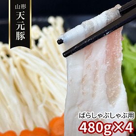 山形 天元豚 ばらしゃぶしゃぶ用480g×4 豚肉 バラ【送料込み】【二重包装不可】【お届け不可地域：離島】