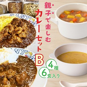 親子で楽しむカレーセットB レトルト カレー シチュー キャニオンスパイス【送料込み】【二重包装不可】【お届け不可地域：北海道・沖縄・離島】