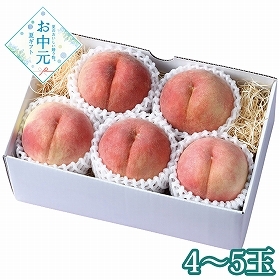 【お中元2026】長野県産 長野の桃4～5玉 1627-039 フルーツ 果物【送料込み】【お届け不可地域：北海道・沖縄・離島】