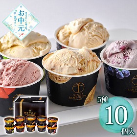【お中元2026】銀座千疋屋 銀座プレミアムアイス 10個 スイーツ アイスクリーム【送料込み】【二重包装不可】【お届け不可地域：離島】