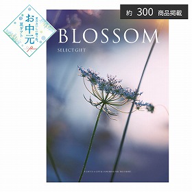 【お中元2026】ブロッサム レースフラワー カタログギフト【送料込み】【二重包装不可】_1087