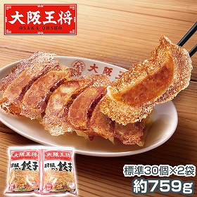 大阪王将 羽根つき餃子２袋セット ぎょうざ ギョーザ【送料込み】【二重包装不可】【お届け不可地域：北海道・沖縄・離島】