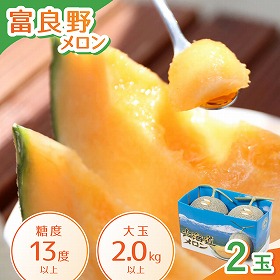 富良野メロン 大玉2玉入り フルーツ 果物 メロン 北海道 ふらの【送料込み】【二重包装不可】【お届け不可地域：沖縄】【お届け日時指定不可】