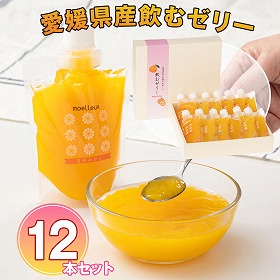 ワッフルアトリエ ムエル　愛媛県産飲むゼリー12本セット【送料込み】【お届け不可地域：北海道・沖縄・離島】