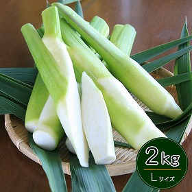 岡山県里庄産 無農薬栽培 マコモタケ（まこもたけ）生 1kg×2袋 計2kg Lサイズ 〈期間限定：9月～11月中旬〉【送料込み】