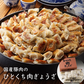 国産豚肉100%使用 カリっとジューシー【九州 ひとくち肉ぎょうざ】 便利な小分けタイプ(9個入×12パック)【送料込み】