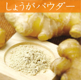 山口県名産品 野菜パウダー しょうがファインパウダー【送料込み】【ネコポス便】
