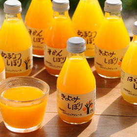 和歌山 「伊藤農園」 4種の柑橘ジュース【送料込み】