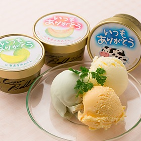 いつもありがとうラベル 十勝アイスクリーム3種セット 計9個【送料込み】【二重包装不可】【お届け不可地域:沖縄・離島】