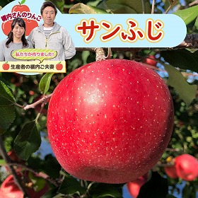 りんご 橘内さんの サンふじ お得用 5kg リンゴ 蜜入り 果物 フルーツ 減農薬 減化学肥料【送料込み】【お届け不可地域:沖縄・離島】【お届け日の指定不可】【二重包装不可】