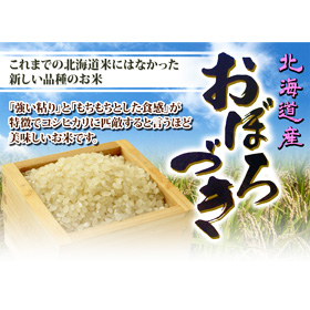 【28年度新米セール】 北海道 「ちりょく米5kg (おぼろづき)」【代引き不可】