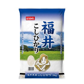 令和6年度産 福井県産こしひかり 5kg 米匠庵のお米【送料込み】