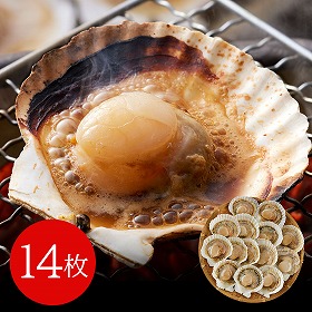 北海道産 帆立片貝 14枚(75g×14) 貝類 ホタテ【送料込み】【二重包装不可】【お届け不可地域：離島】