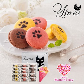 【母の日2025】イーペルの猫祭り サンドクッキー M-YJ-CB スイーツ クッキーサンド 焼菓子【送料込み】【二重包装不可】