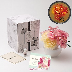 【母の日2025】フレグランス胡蝶蘭 ピンク フラワーギフト 花【送料込み】【二重包装不可】【お届け不可地域：離島】【お届け日時指定不可】_81029