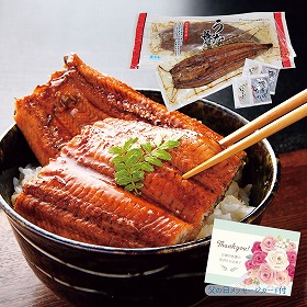 【父の日2025】鹿児島県産 うなぎ長蒲焼セット 和風惣菜 蒲焼き【送料込み】【二重包装不可】【お届け不可地域:離島】【お届け日時指定不可】_91020
