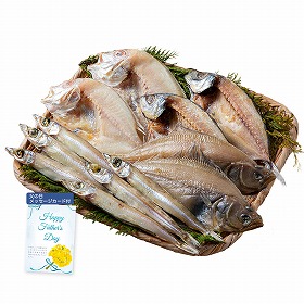 【父の日2025】山陰海鮮一夜干しセット 6365-40 4997-475 魚介 干物【送料込み】【二重包装不可】【お届け不可地域：北海道・沖縄・離島】【お届け日時指定不可】