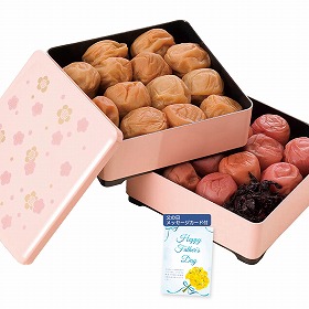 【父の日2025】紀州南高梅 二段重 二種味比べ ピンク 3788-45 4997-576 梅干し 詰合せ【送料込み】【二重包装不可】【お届け不可地域:北海道・沖縄・離島】【お届け日時指定不可】