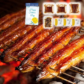 【父の日2025】うなぎ蒲焼切身3枚＆めしの具 ごぼう入 セット 4998-403 和風惣菜 蒲焼き【送料込み】【二重包装不可】【お届け不可地域：北海道・沖縄・離島】【お届け日時指定不可】
