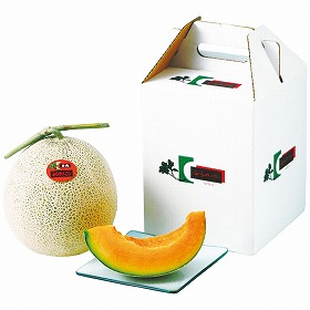 3%OFF【お中元2025】北海道産 ふらのメロン1玉 1020 4724-036 フルーツ 果物【送料込み】【二重包装不可】【お届け不可地域:北海道・沖縄・離島】【お届け日時指定不可】