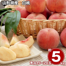 山形県産 白桃 5kg フルーツ 果物【送料込み】【二重包装不可】【お届け不可地域：離島】