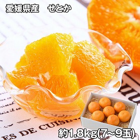 愛媛県産 せとか 1.8kg フルーツ 果物【送料込み】【二重包装不可】【お届け不可地域:離島】
